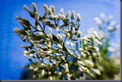 edited-with-textures