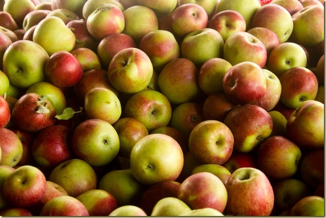 Mountain trip 2016 (3 of 17)