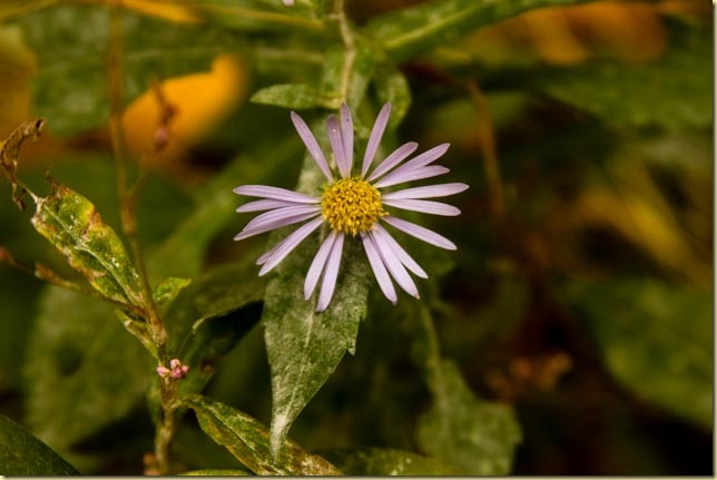 Mountain trip 2016 (7 of 17)