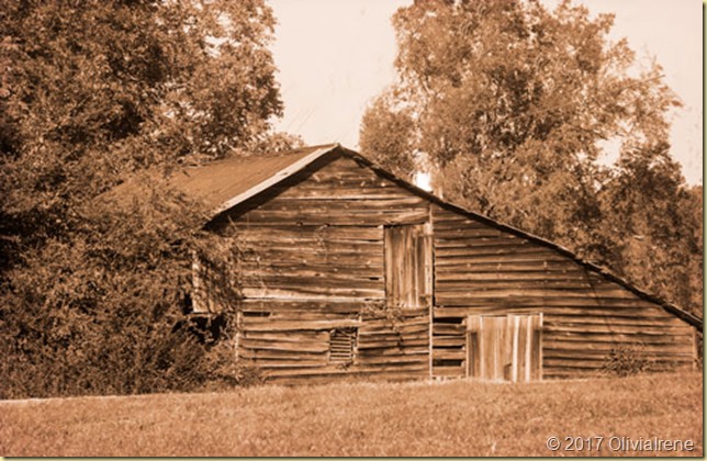 barn-3-sepia-3