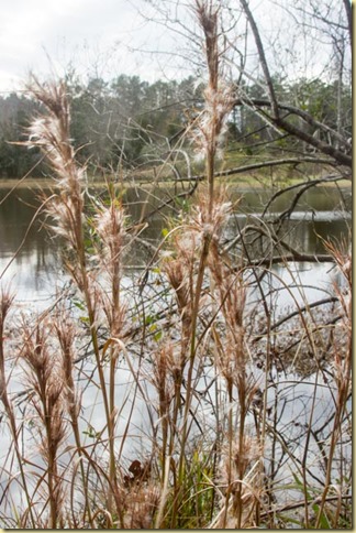 untitled-20